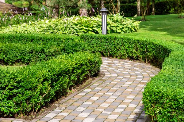 Paved Landscaping in Westfield
