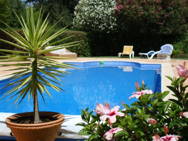 Pool Terrace Renovation in Westfield