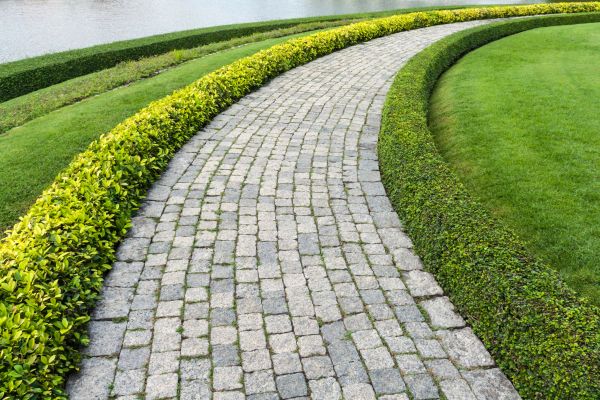 Sidewalk Pavers Installation in Westfield